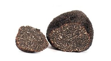 ID Forest - caleruega truffles