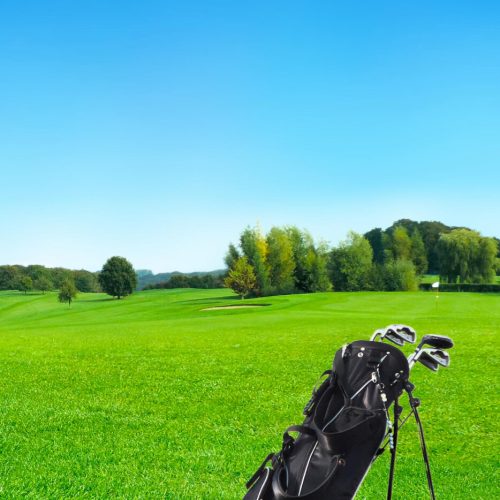 idforest-campos-golf idforest-campos-golf