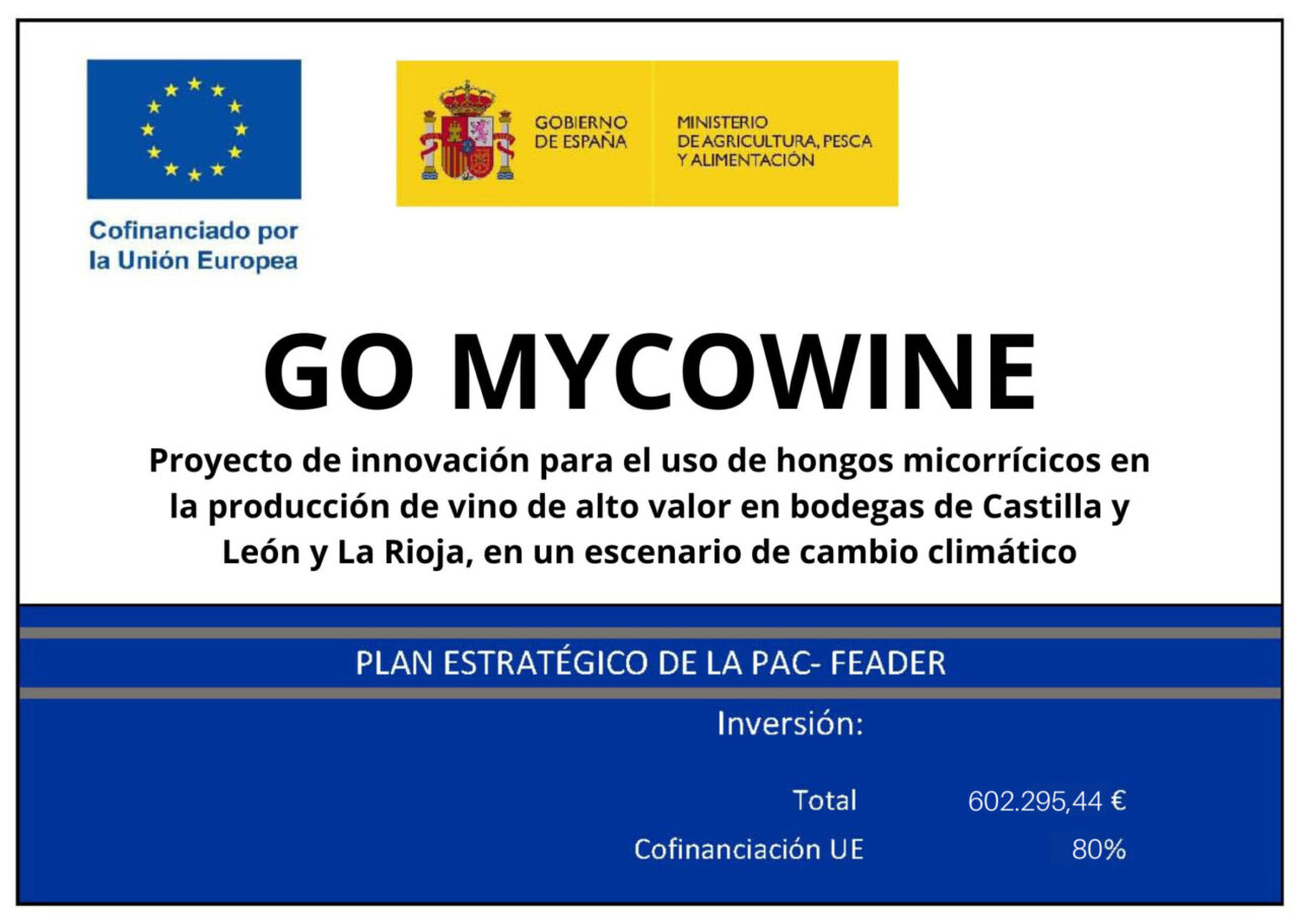 proyecto mycowine IDForest
